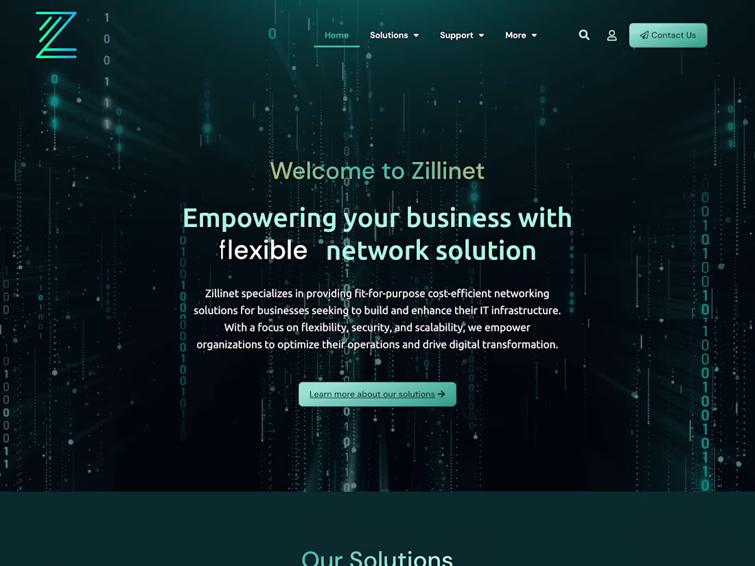 Cover image for Zillinet - Networking Solutions Website Development