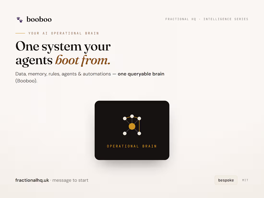 Cover image for Booboo: the operational brain that