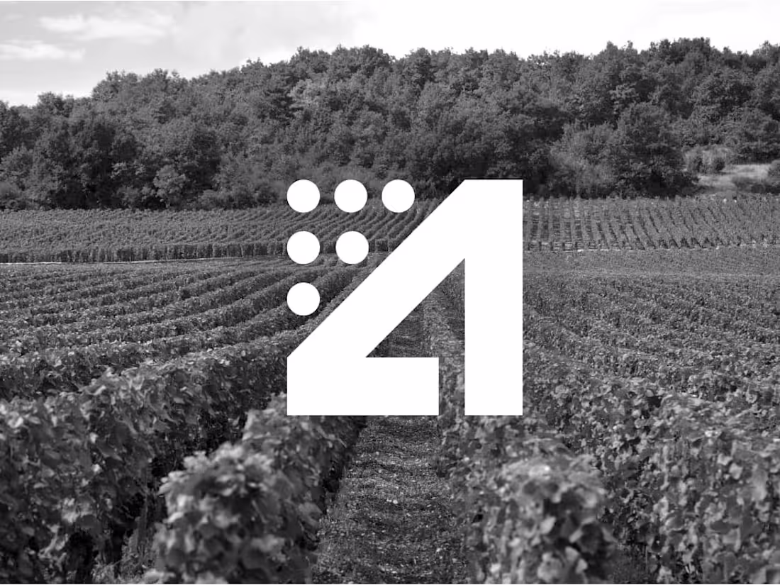 Cover image for Aurora Wines 