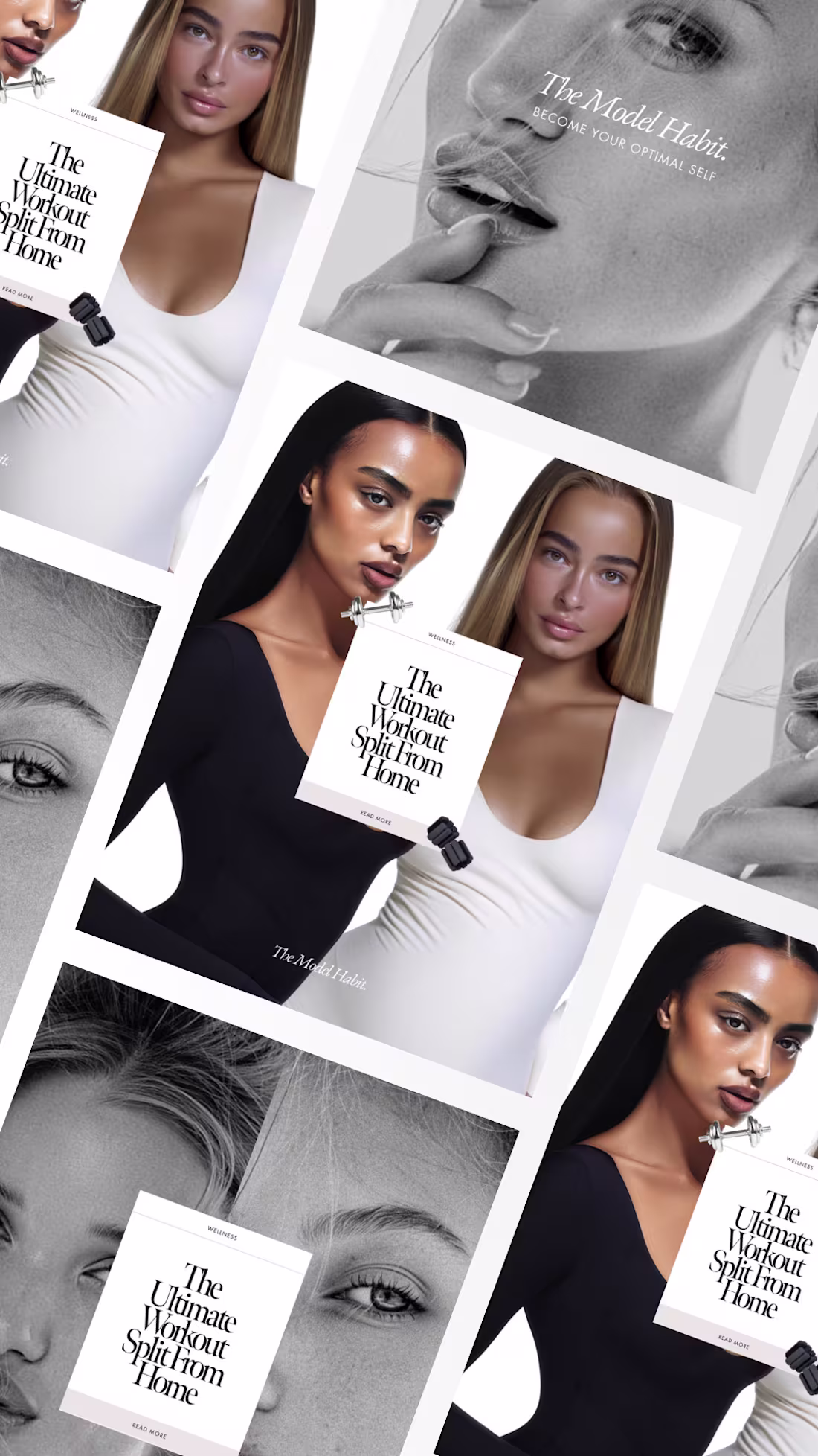 Cover image for The Model Habit - Branding, Wordpress Website + Social Templates