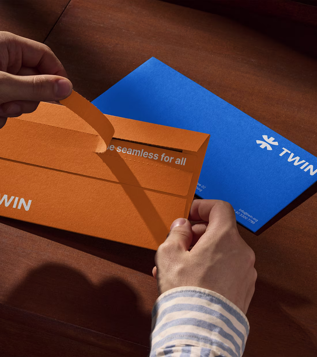 Cover image for TWIN Branding and Digital Presence Development