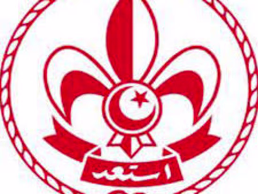 Cover image for Scout Volunteer Management System 