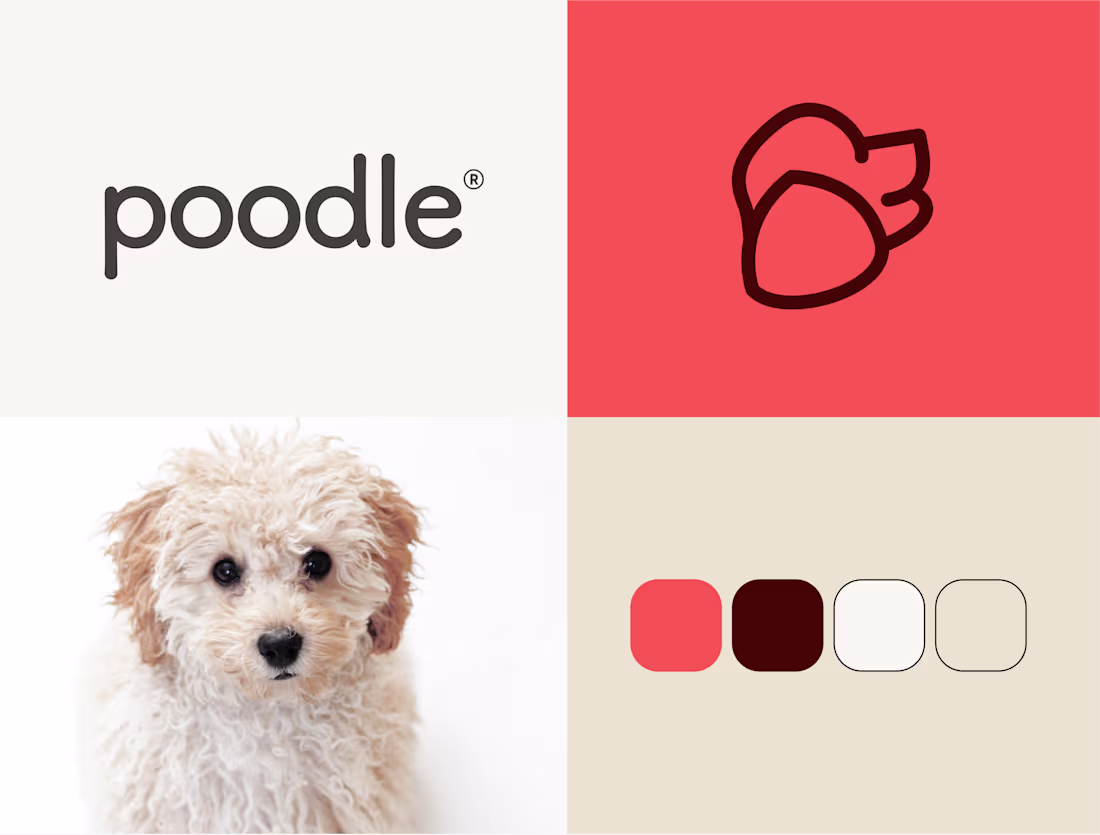 Cover image for Poodle – Brand Identity Design