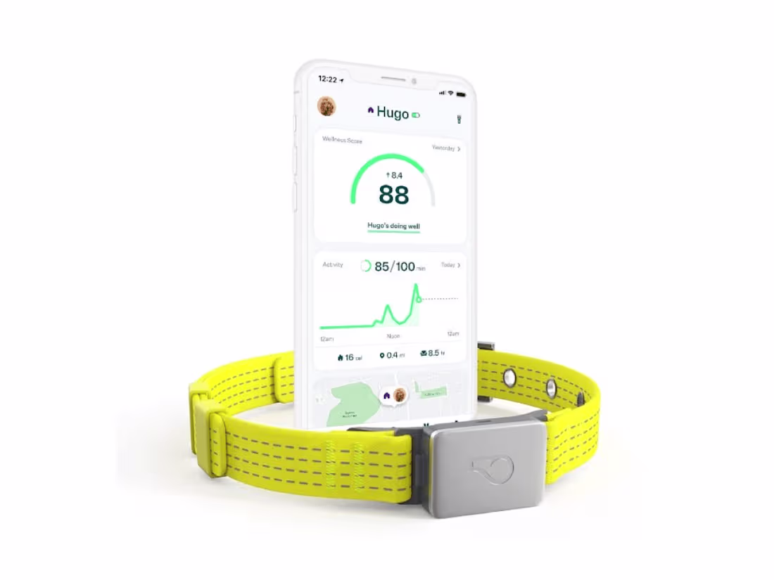 Cover image for The 9 Best Gps Dog Trackers for Tracking Your Dog