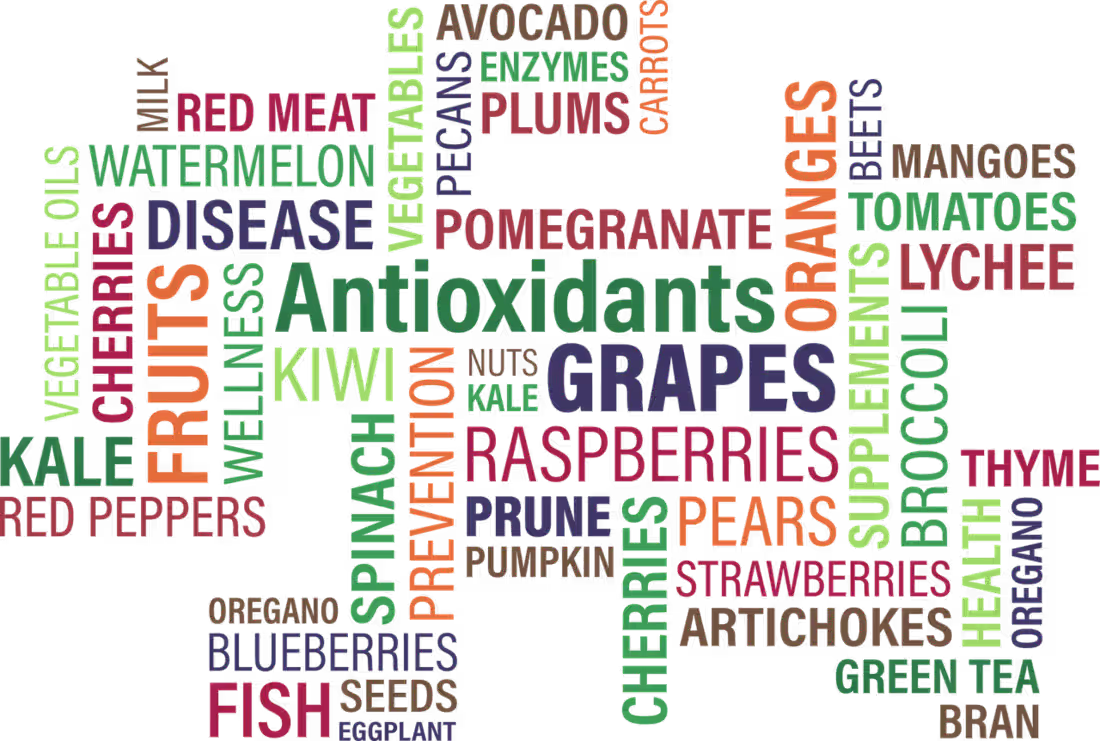 Cover image for write all food science and human nutrition assignments