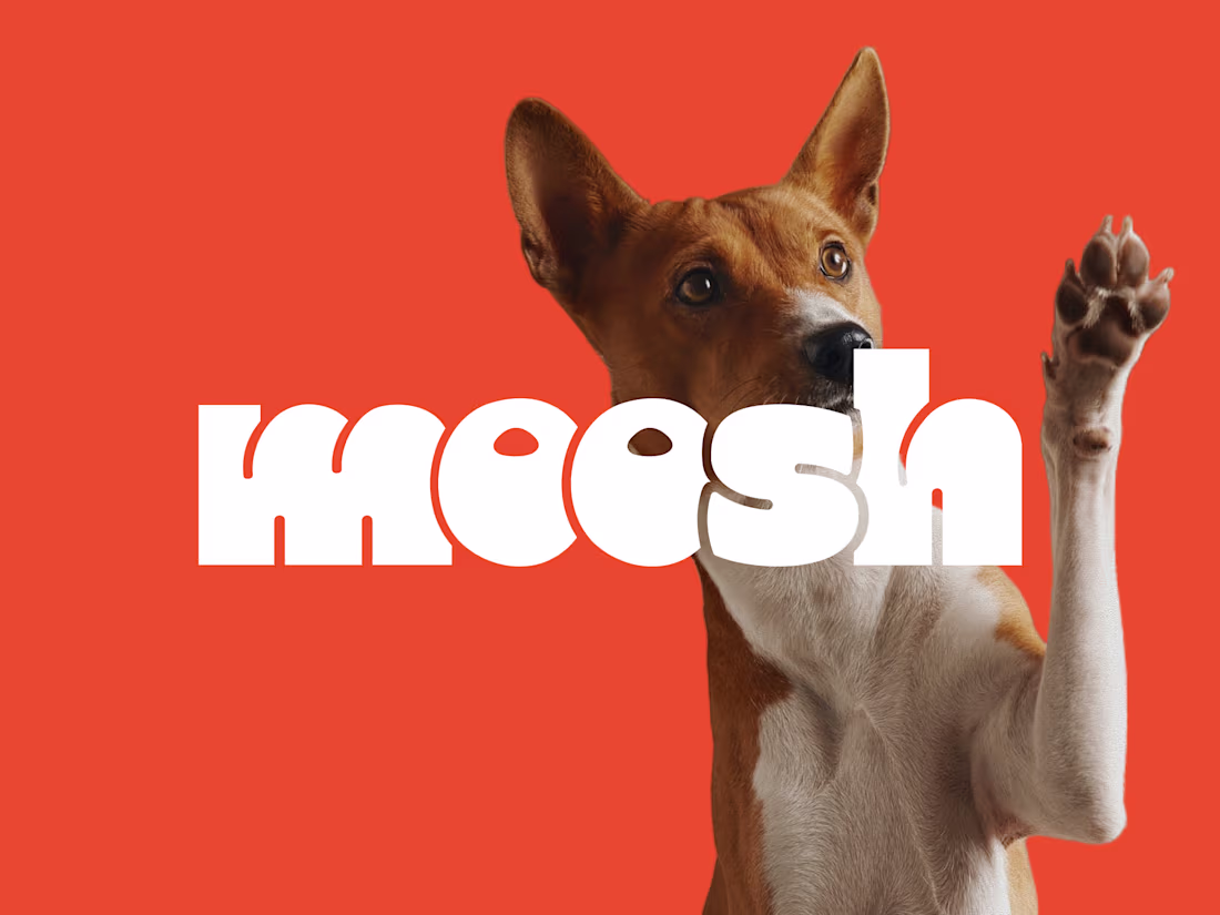 Cover image for Moosh | Branding