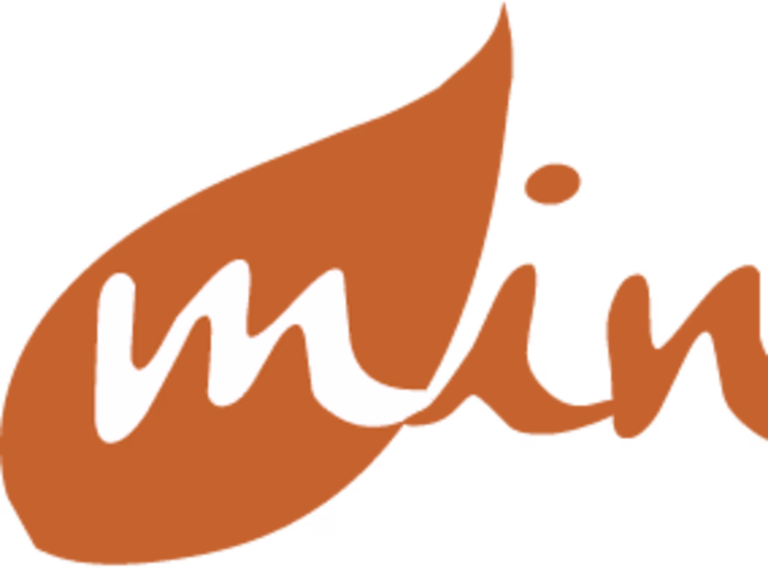 Cover image for Brand Identity: Minor Vine
