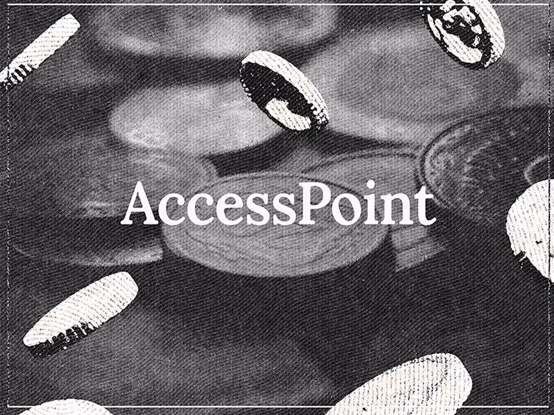 Cover image for AccessPoint — Brand Foundation & Investor Deck Design