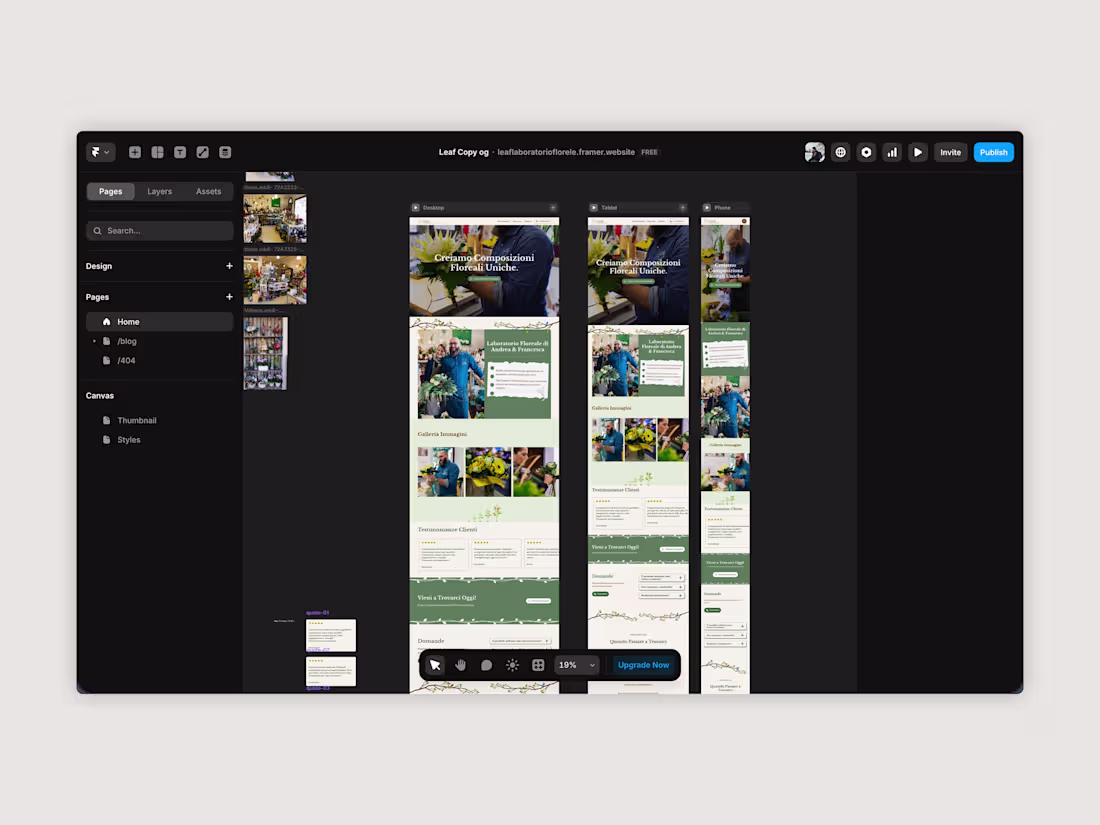 Cover image for Framer Development