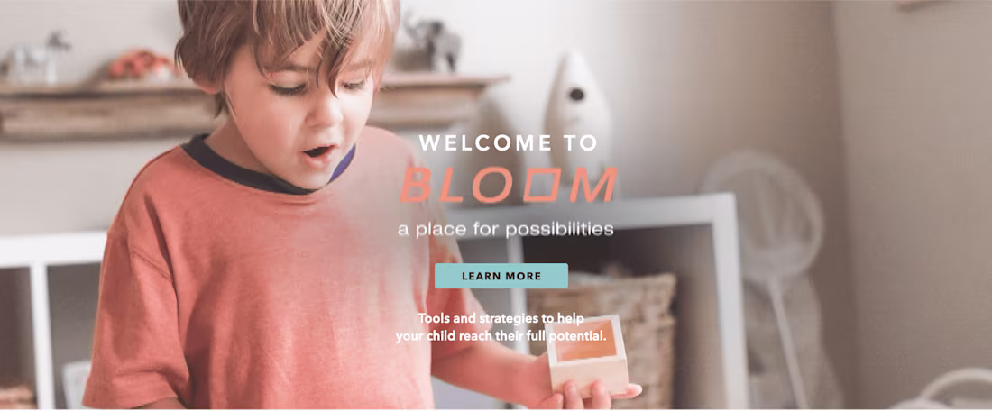 Cover image for Bloom
