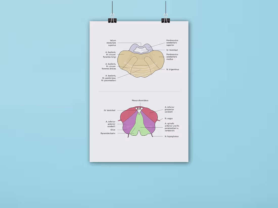 Cover image for Infographics