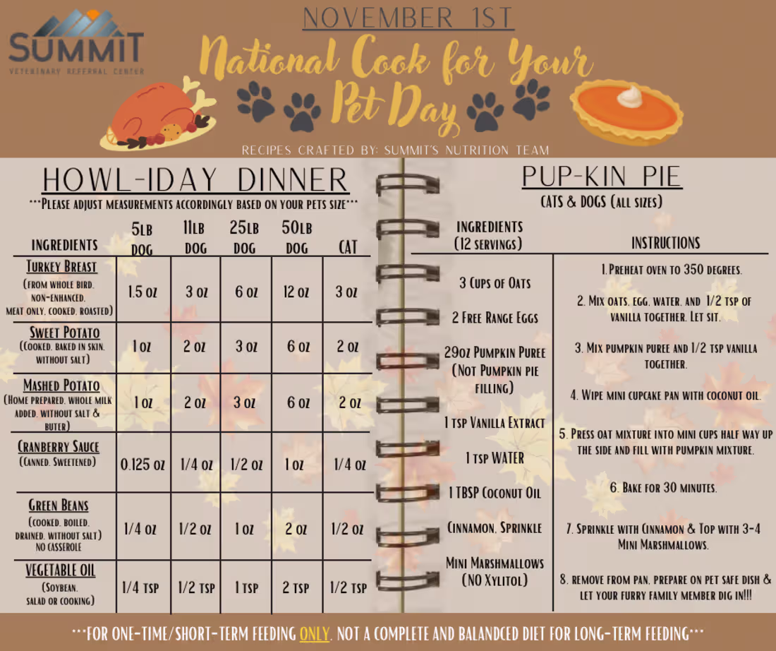 Cover image for Designed a holiday pet recipe