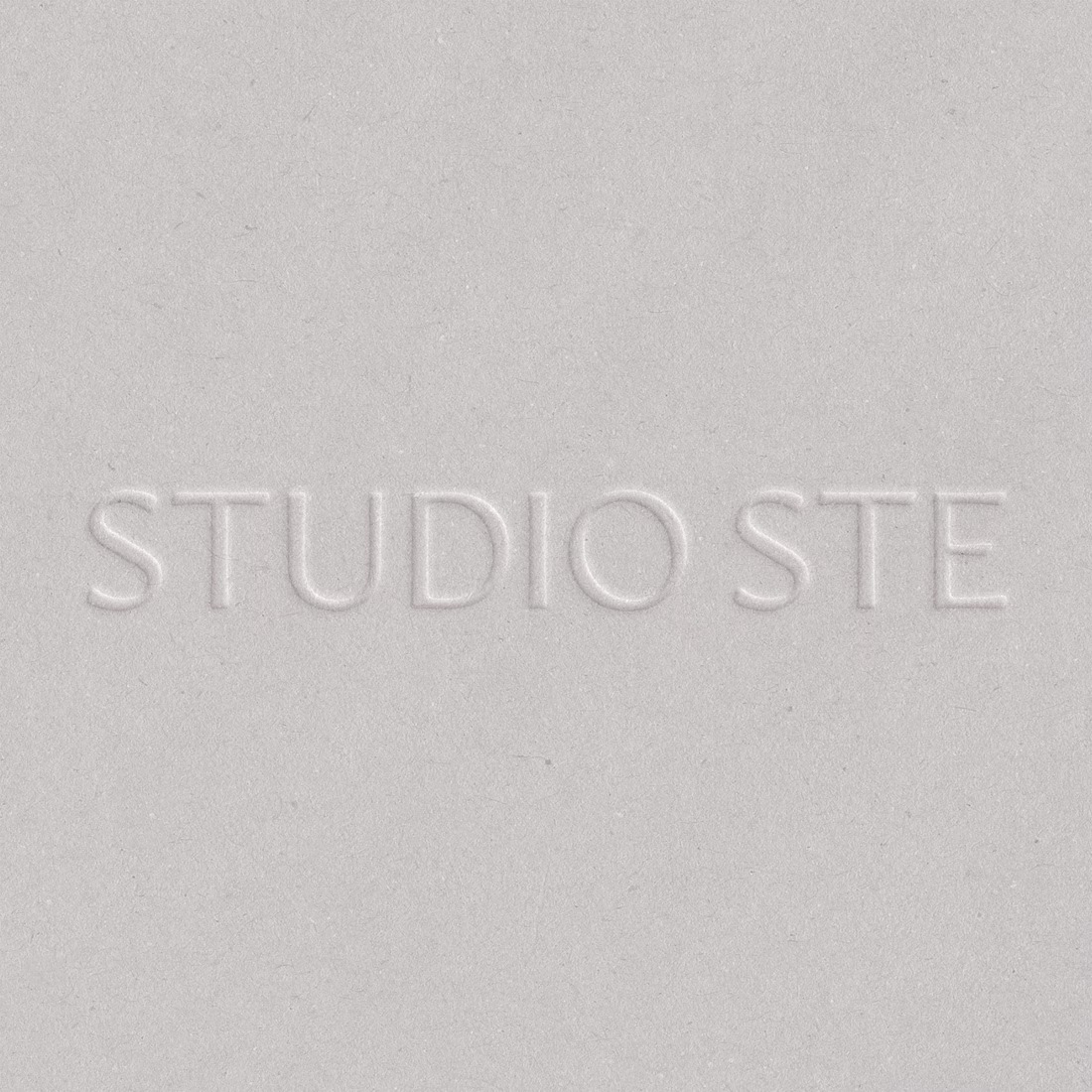 Cover image for Studio STE