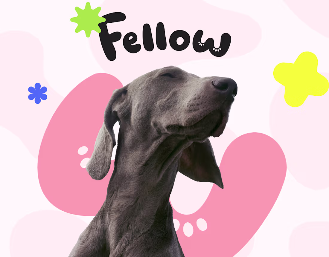 Cover image for Fellow — Pet Accessories Brand Identity