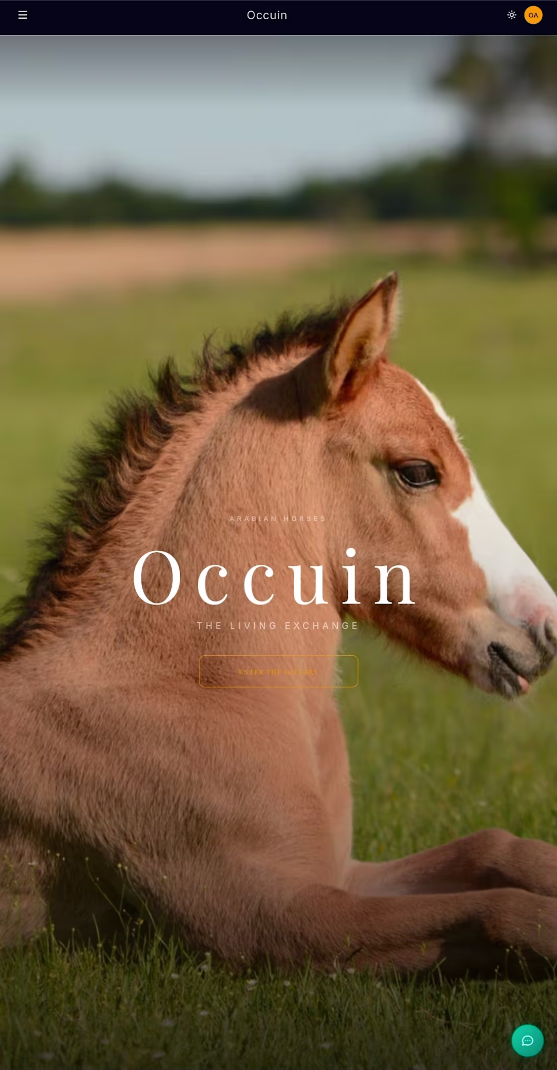 Cover image for Occuin.com