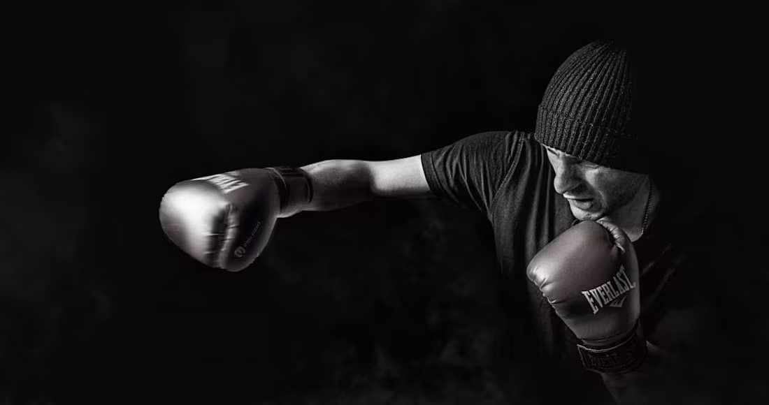 Cover image for The Punch Pro Product Collection Pages