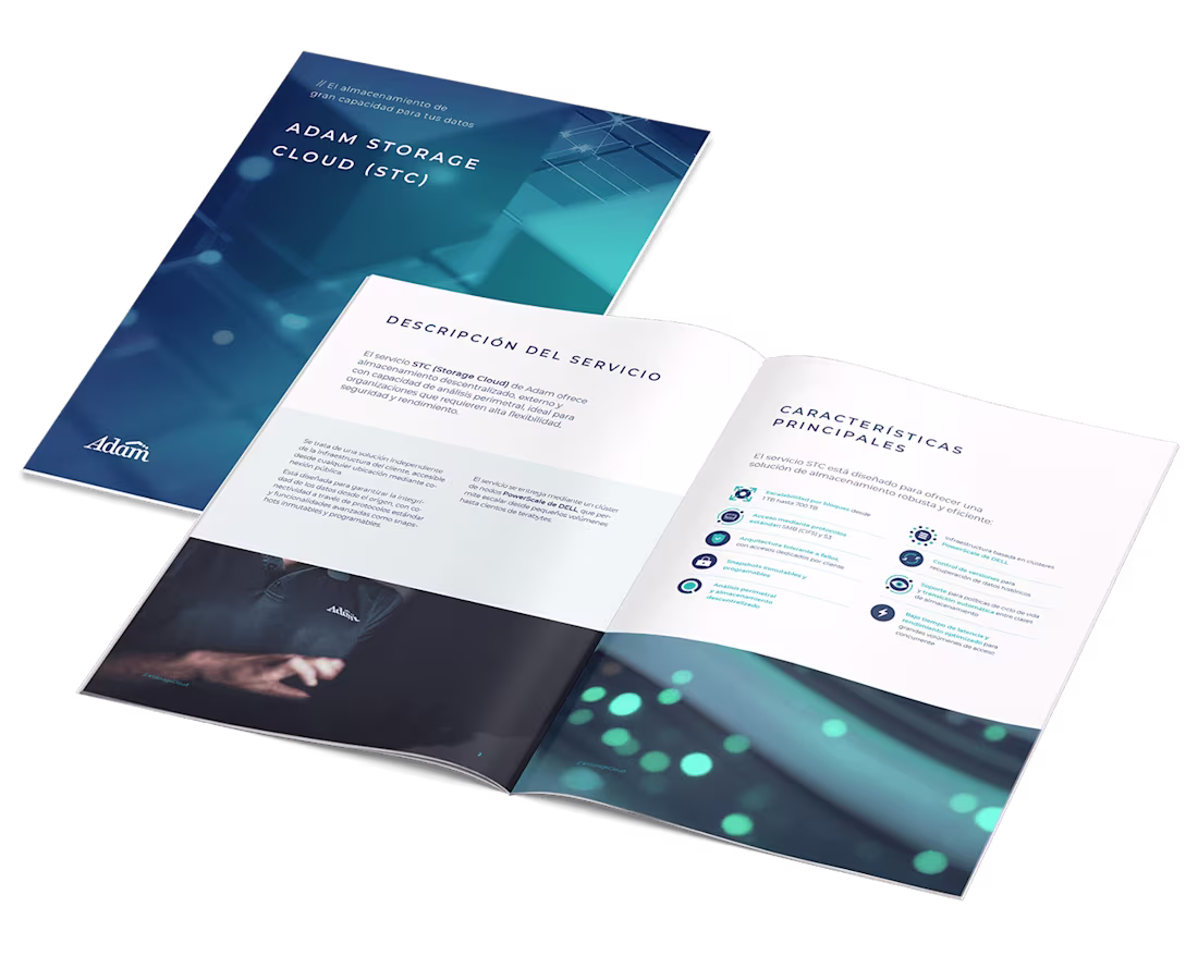 Cover image for Shaping Adam’s service portfolio: Case study