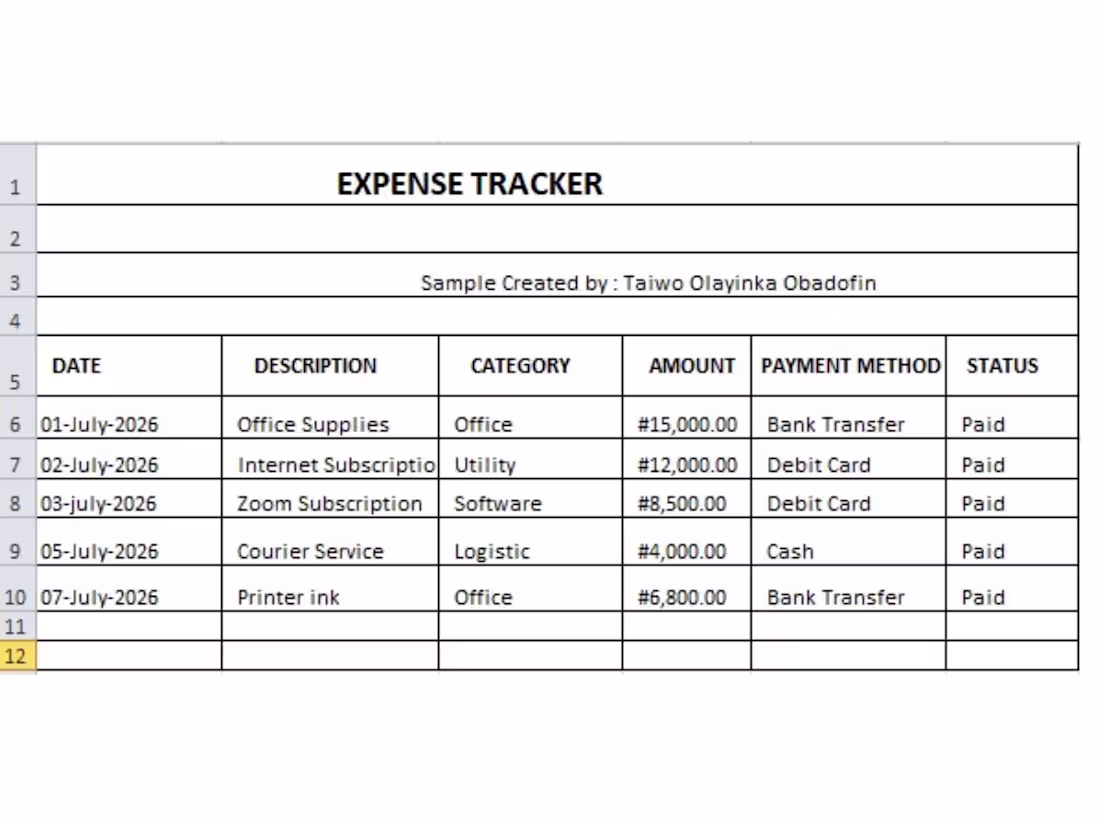 Cover image for Designed a professional expense tracker
