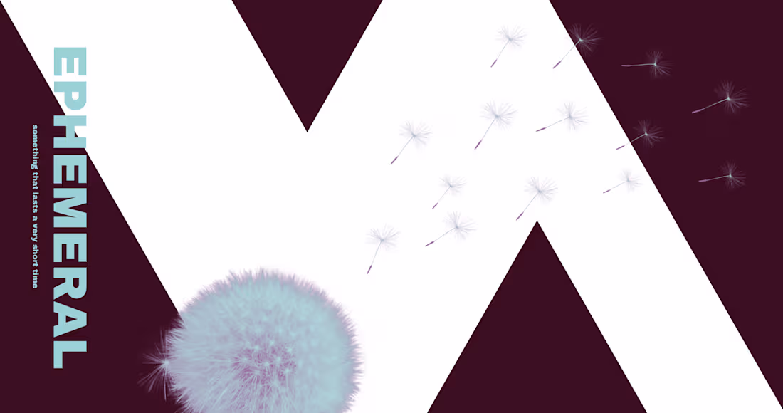 Cover image for The world I perceive is