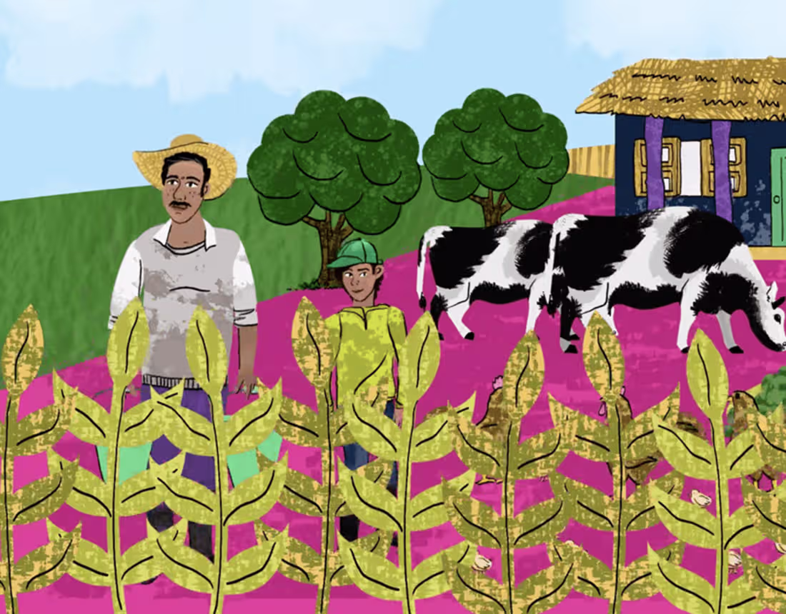 Cover image for Proyecto Transformación Social-Ecológica FESMEX :: Behance