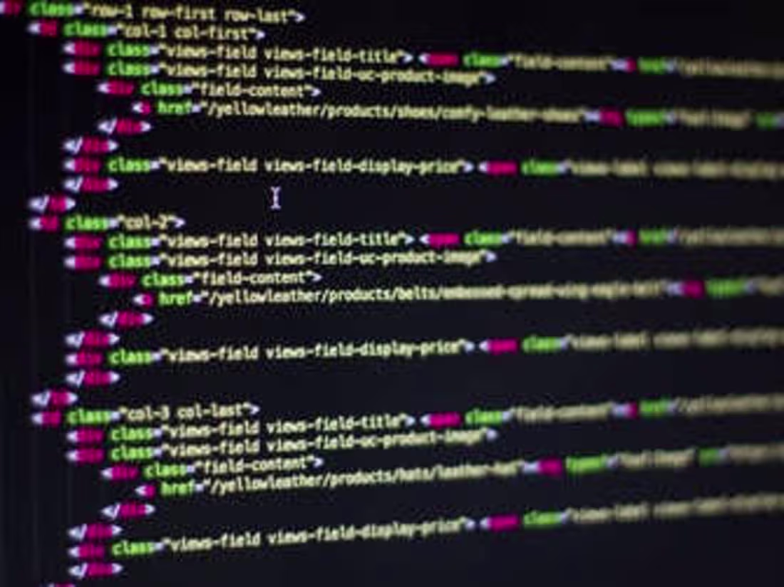 Cover image for Web Developer