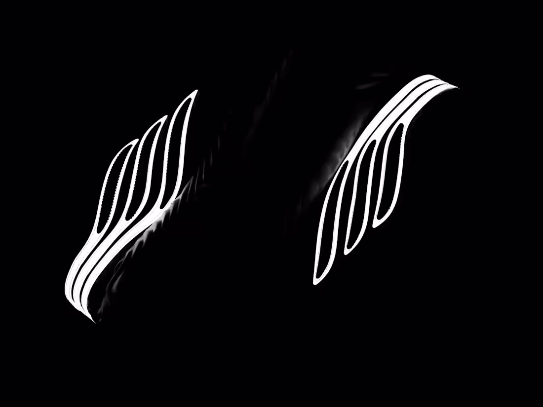 Cover image for Adidas Sobakov
