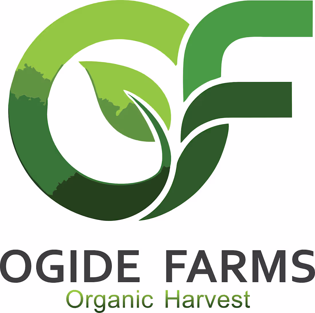 Cover image for Logo Design