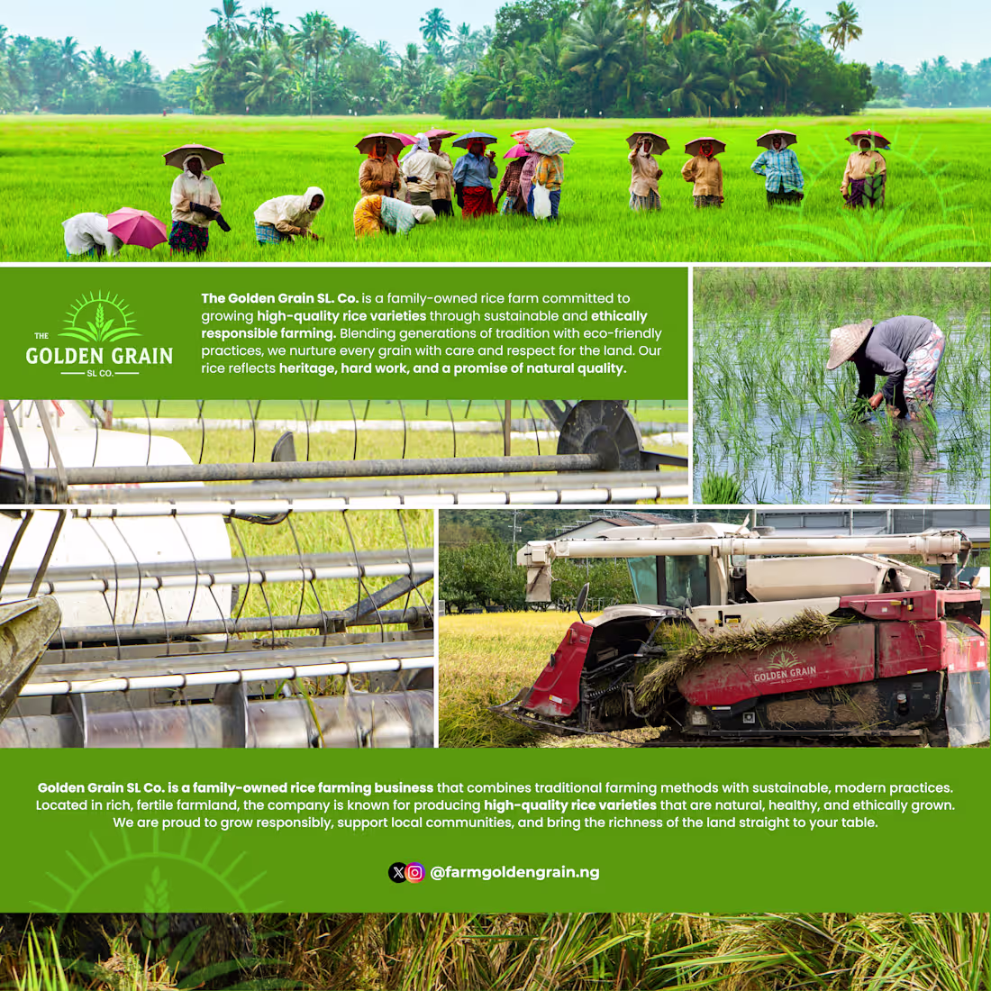 Cover image for A clean, natural, and an easy-to-read design for Golden Grai...