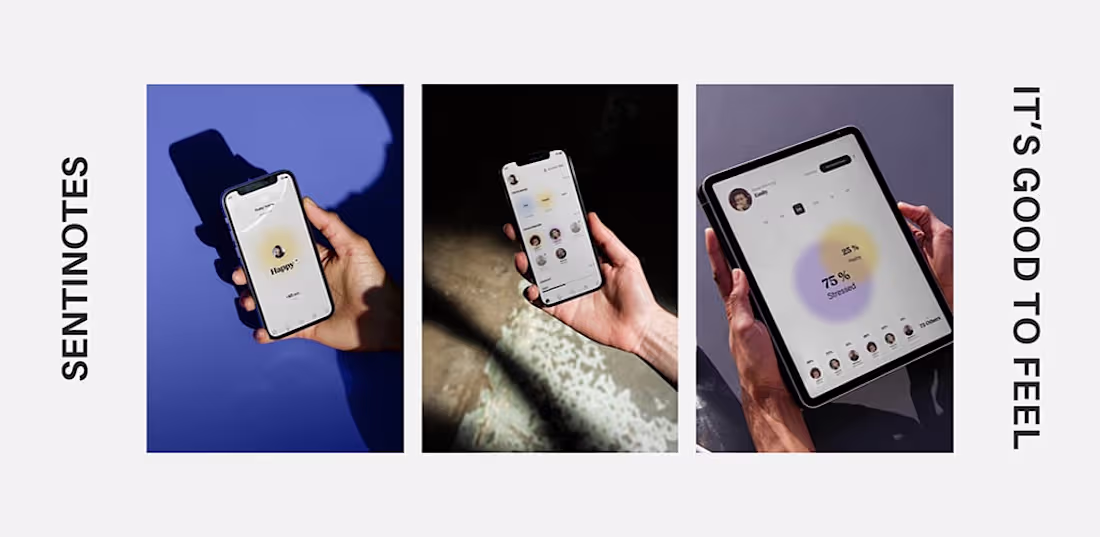 Cover image for Sentinotes - Digital products that aim to improve how we exp...
