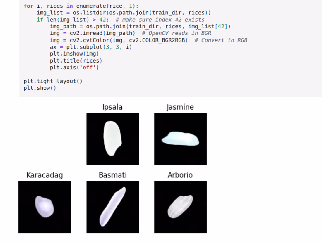 Cover image for Built a deep learning image classification system to identif...