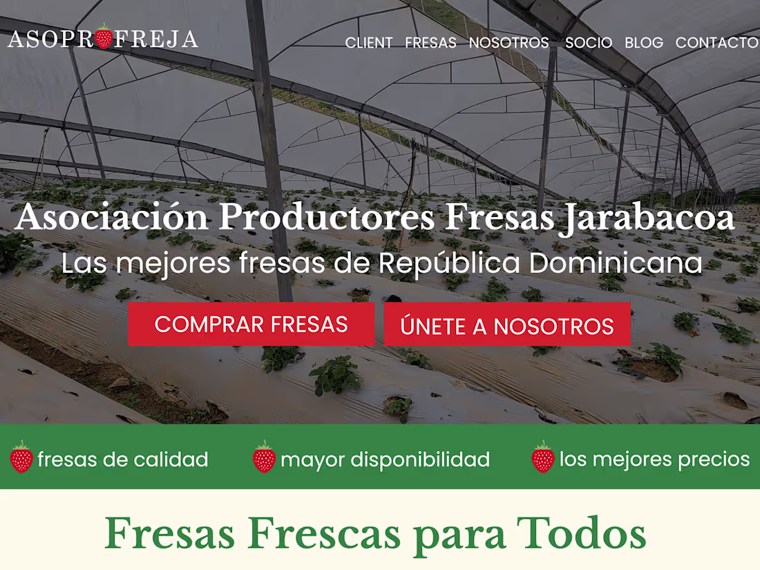 Cover image for Non-profit website Assoc. of Strawberry Producers of Jarabacoa