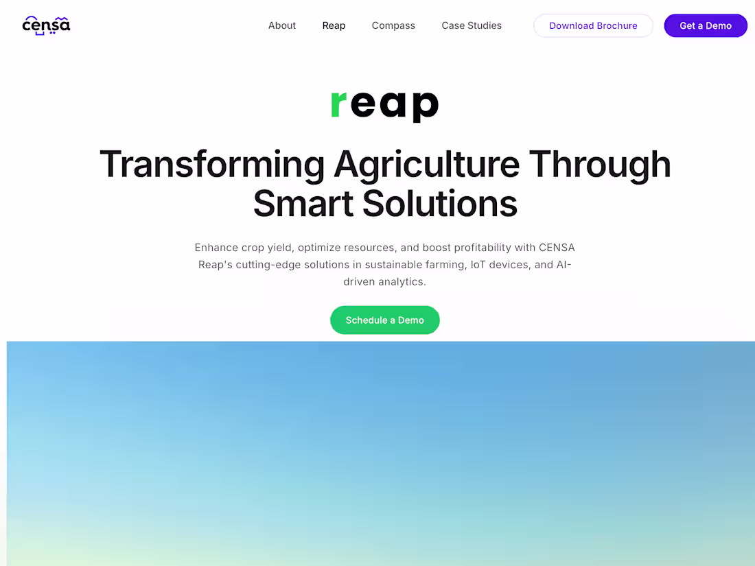 Cover image for Censa Reap - web design and development 