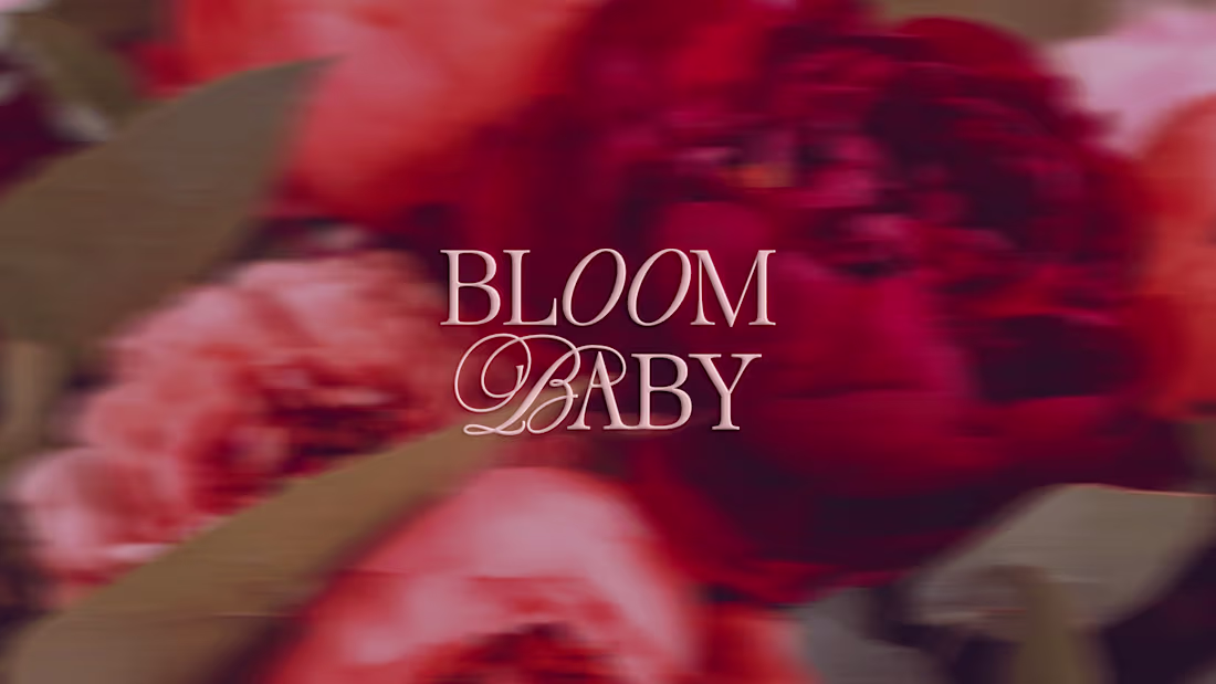 Cover image for Bloom Baby | Branding