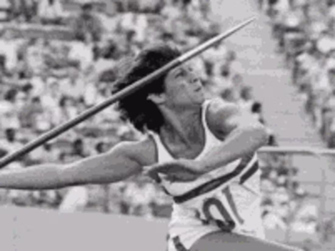 Cover image for Women's Sports Foundation, American Forests and AWF