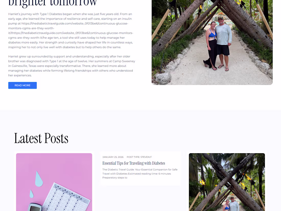 Cover image for This is a diabetes travel guide website built with the WordP...