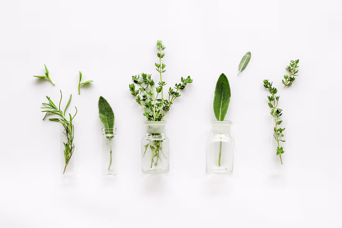 Cover image for Mellow Monday: Exploring The World Of Herbal Infusions