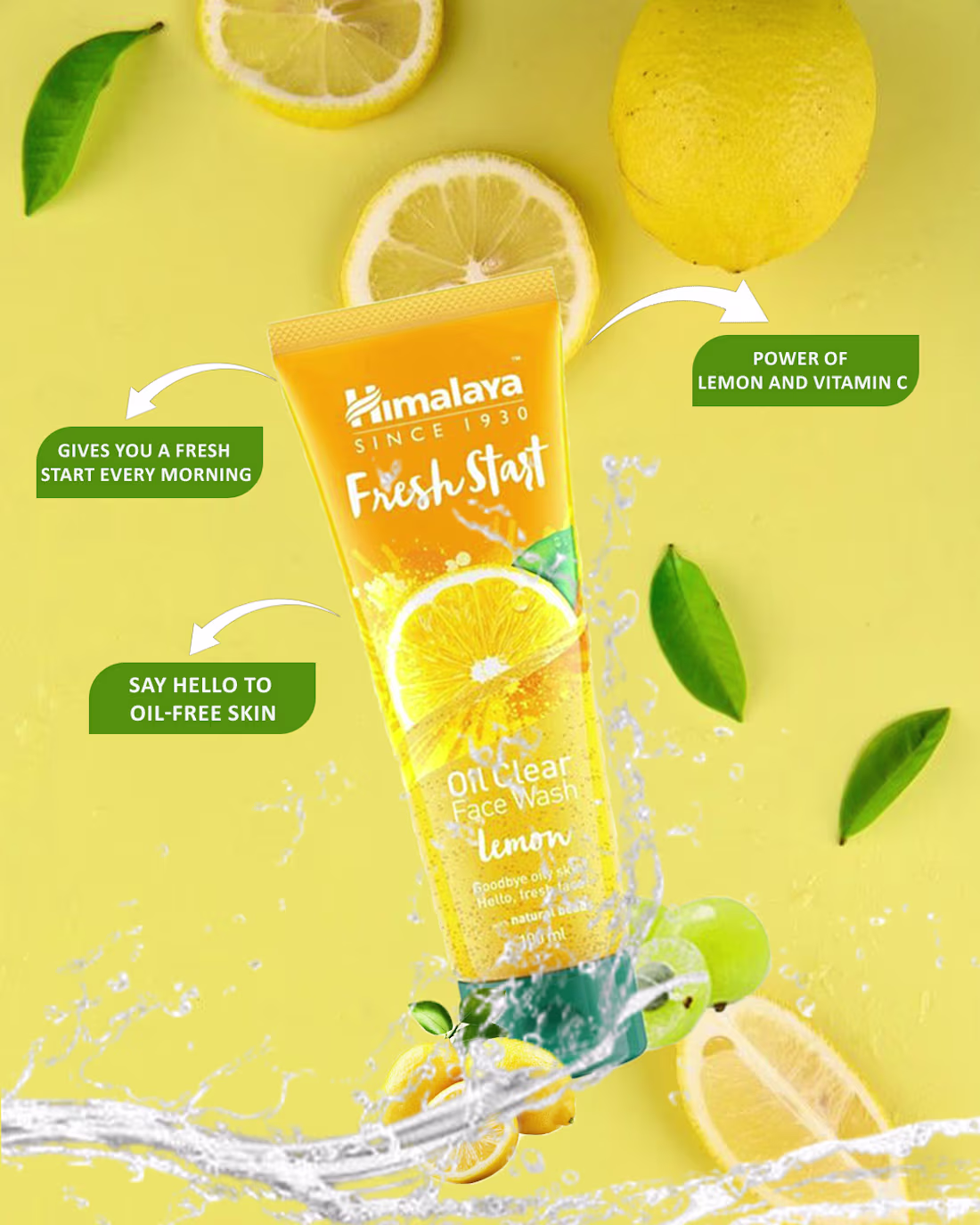 Cover image for This project is a refreshing