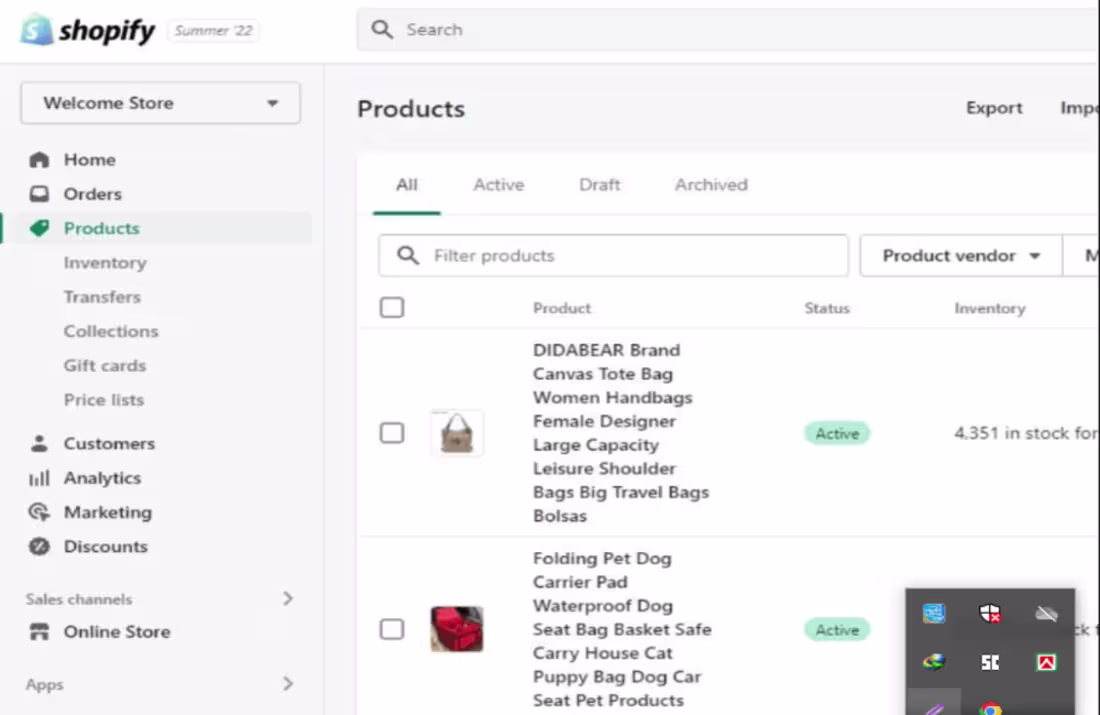 Cover image for Created and managed eCommerce stores