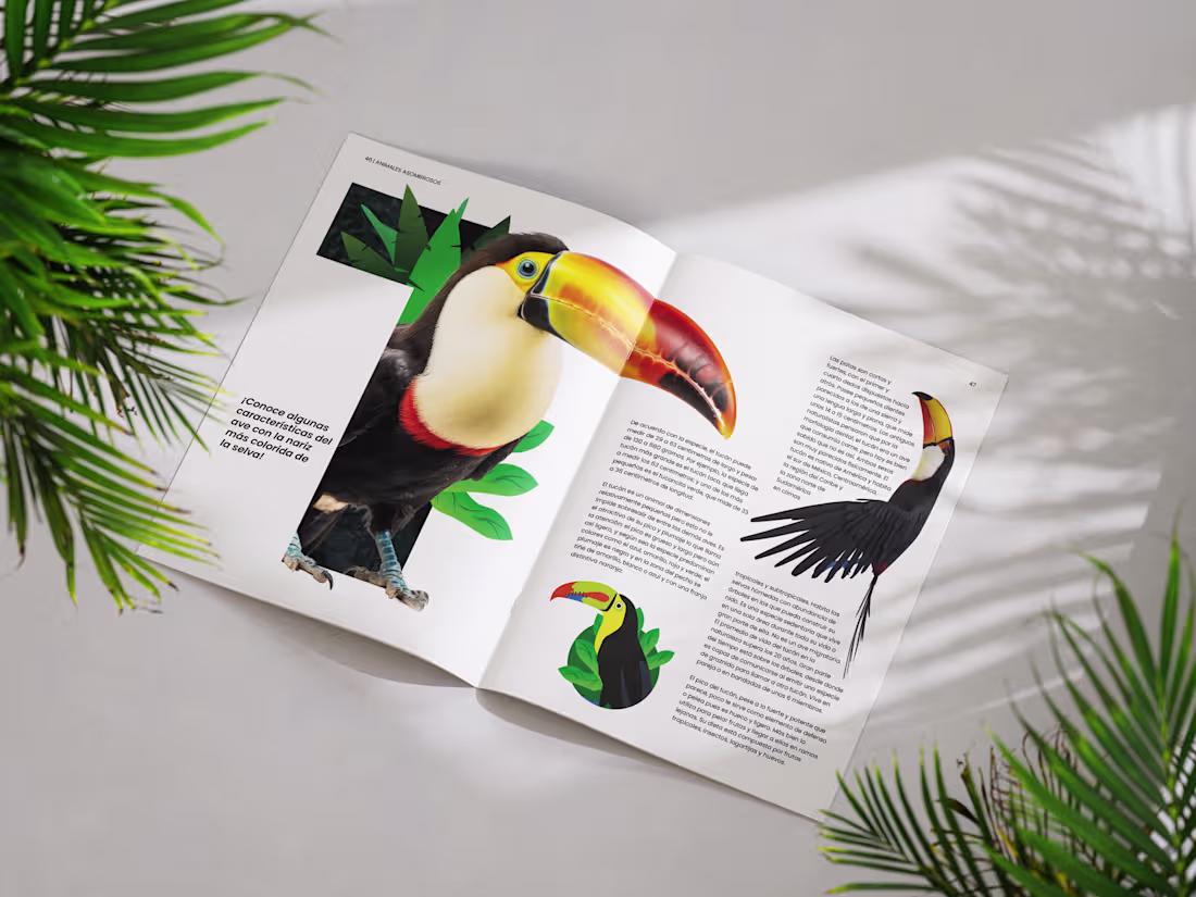 Cover image for ZOOFERA is an interactive children’s