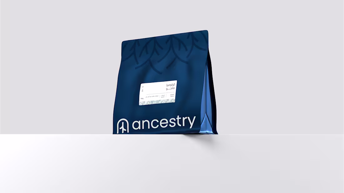 Cover image for Brand System