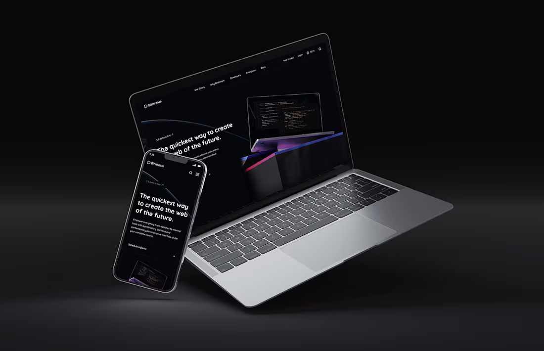 Cover image for Bitstream, a rapidly expanding headless CMS :: Behance