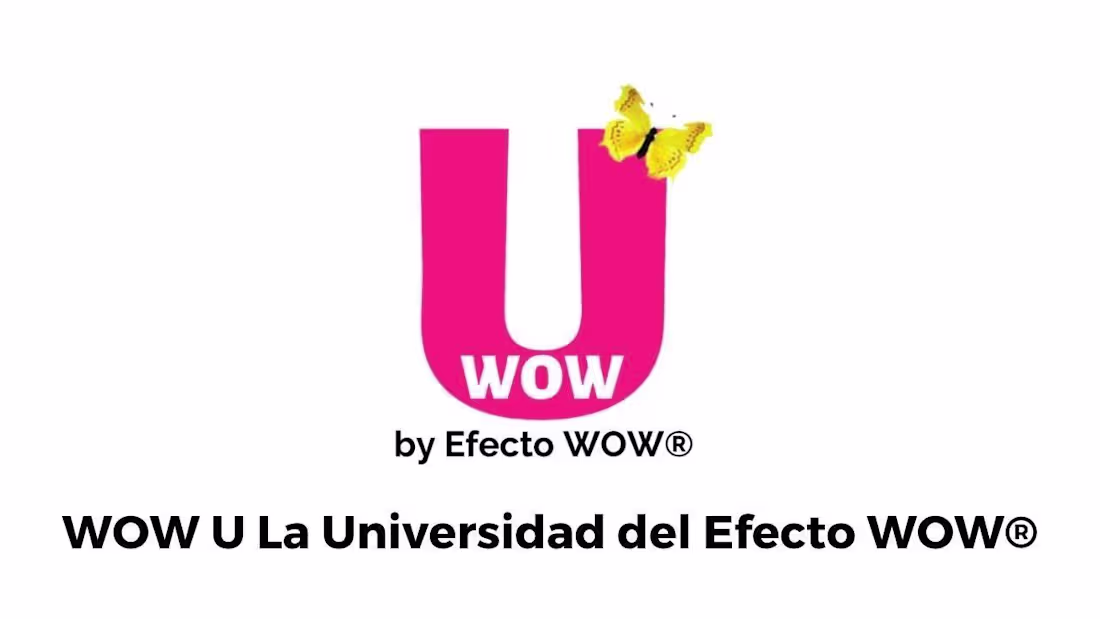 Cover image for The WOW U