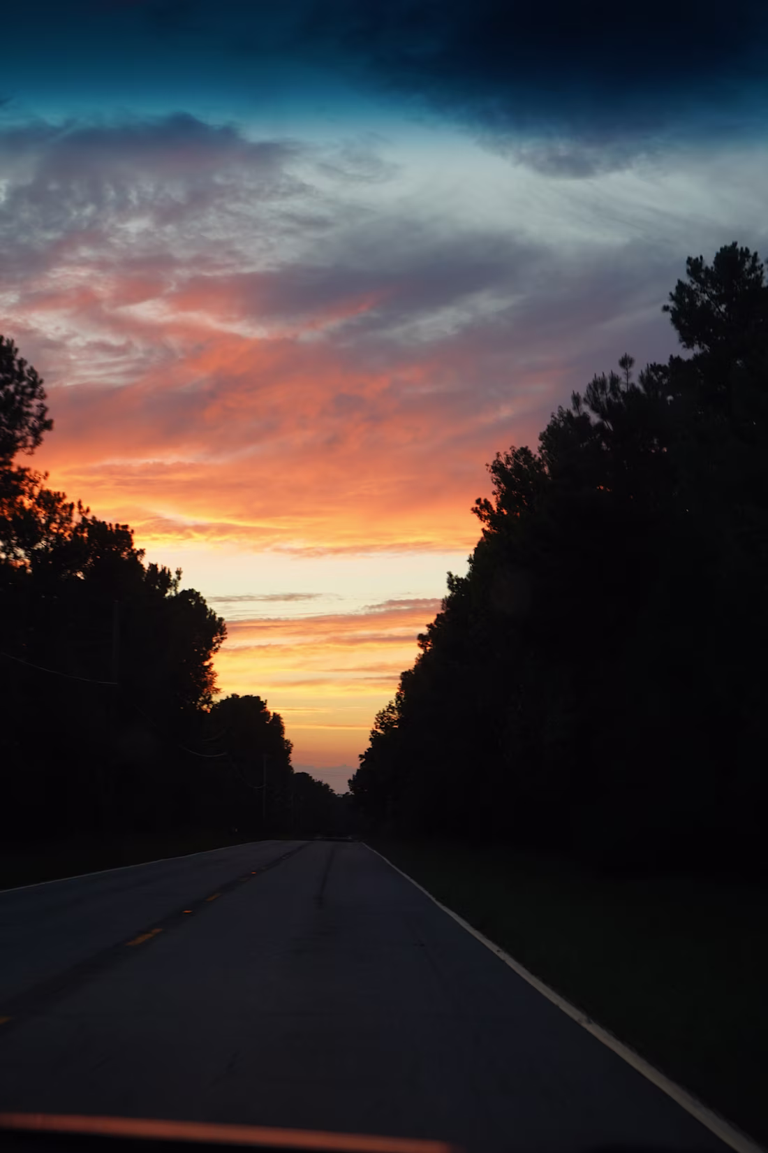 Cover image for I love sunsets and chasing