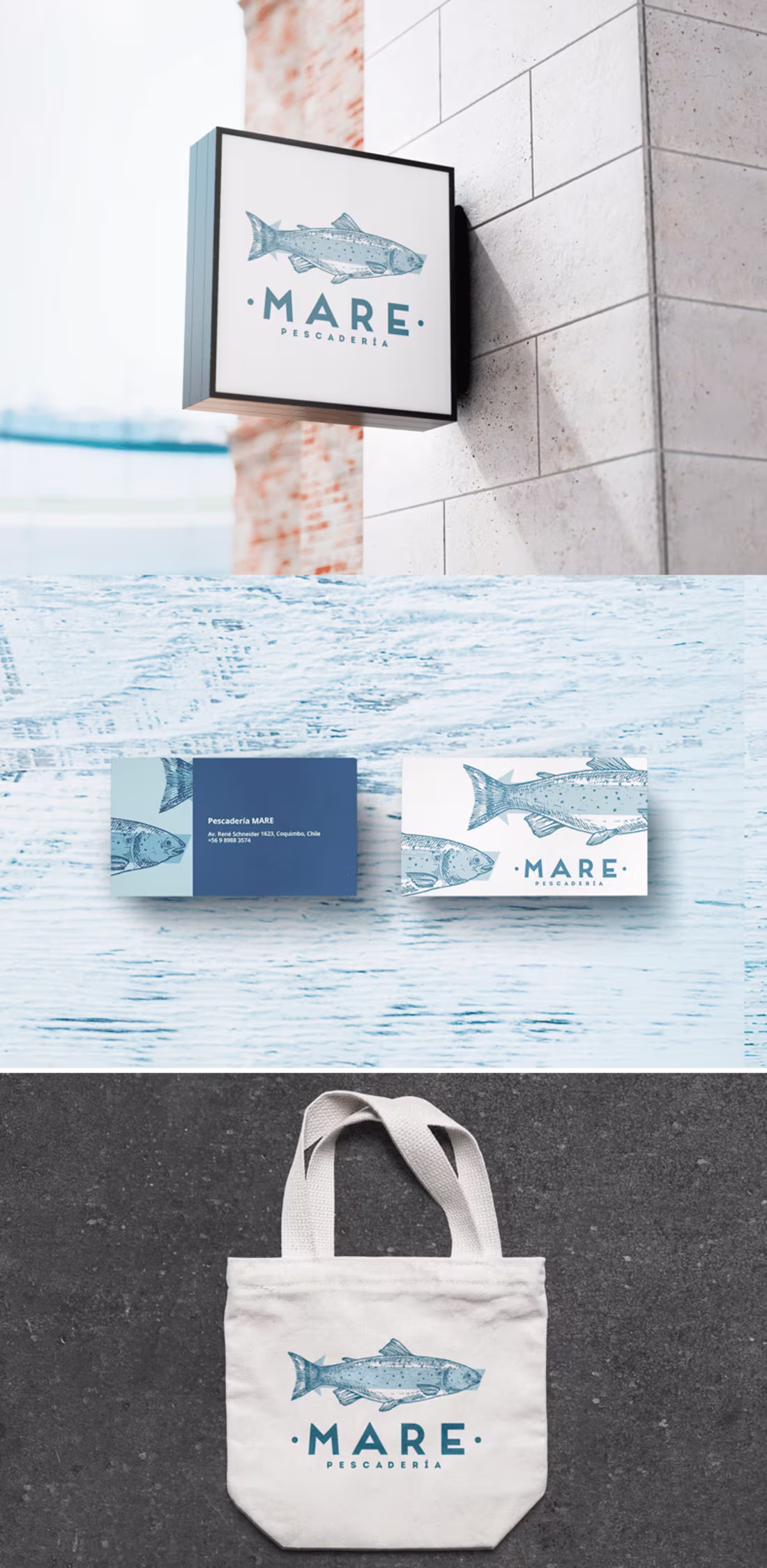 Cover image for MARE - Brand Identity for Seafood Restaurant