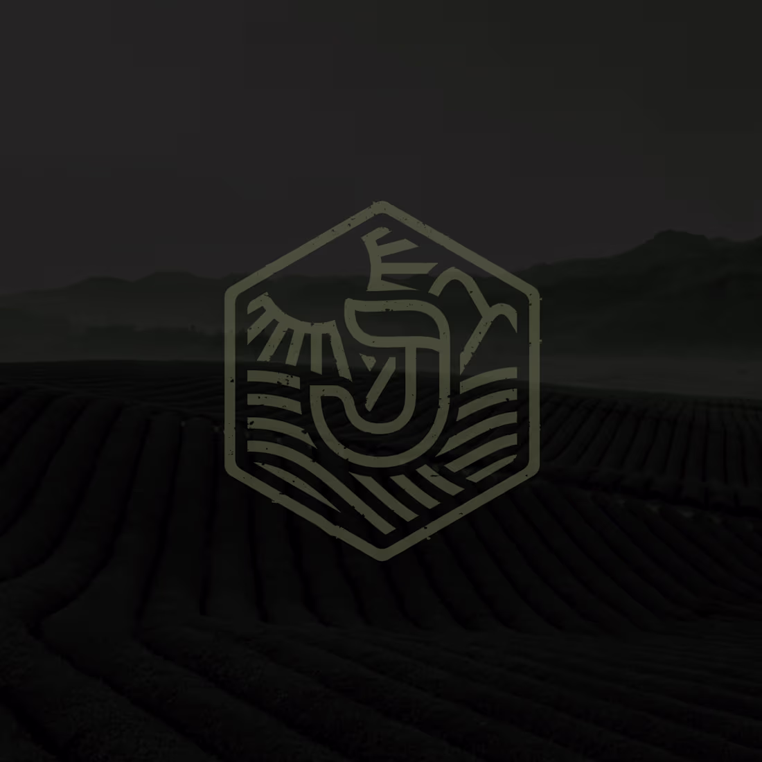 Cover image for Joora Tea Logo design and Branding