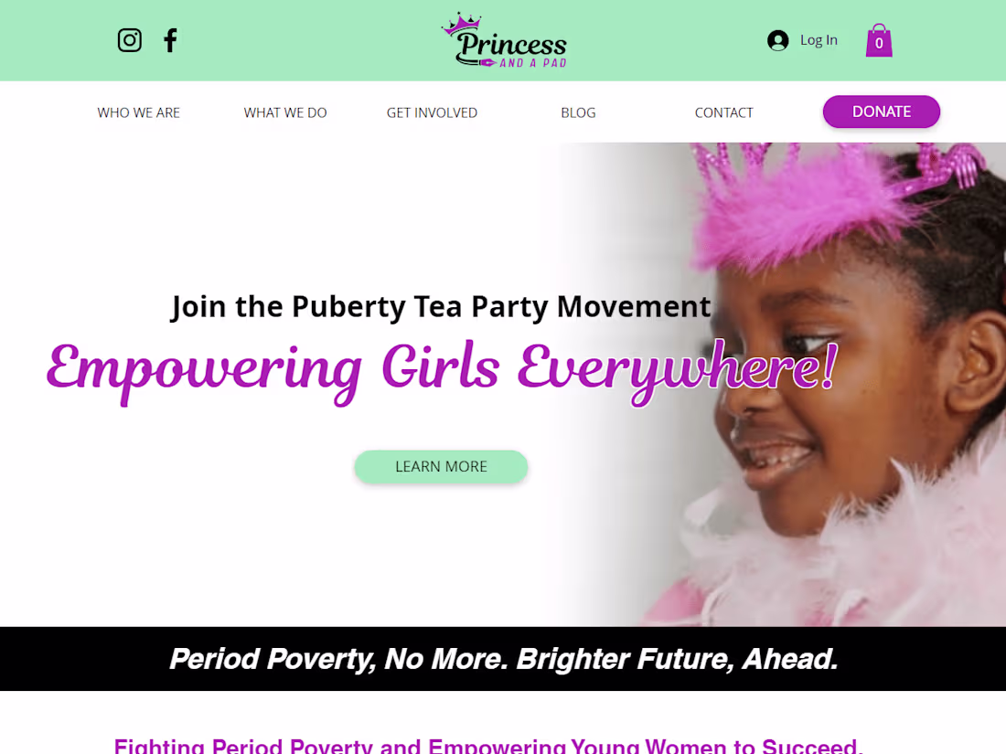 Cover image for Nonprofit Organization Brand Launch