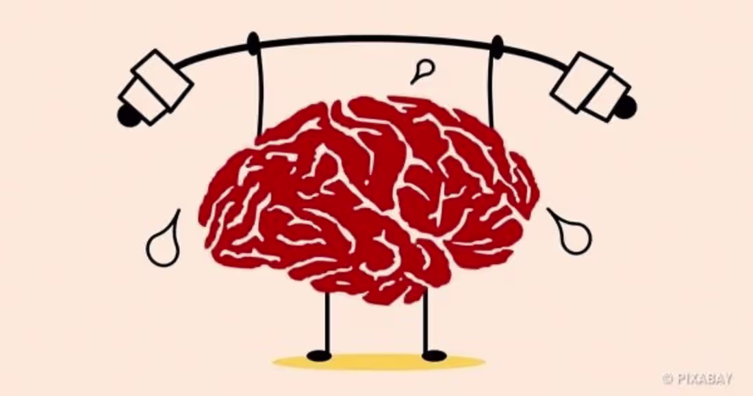 Cover image for Why Exercise Is Good for