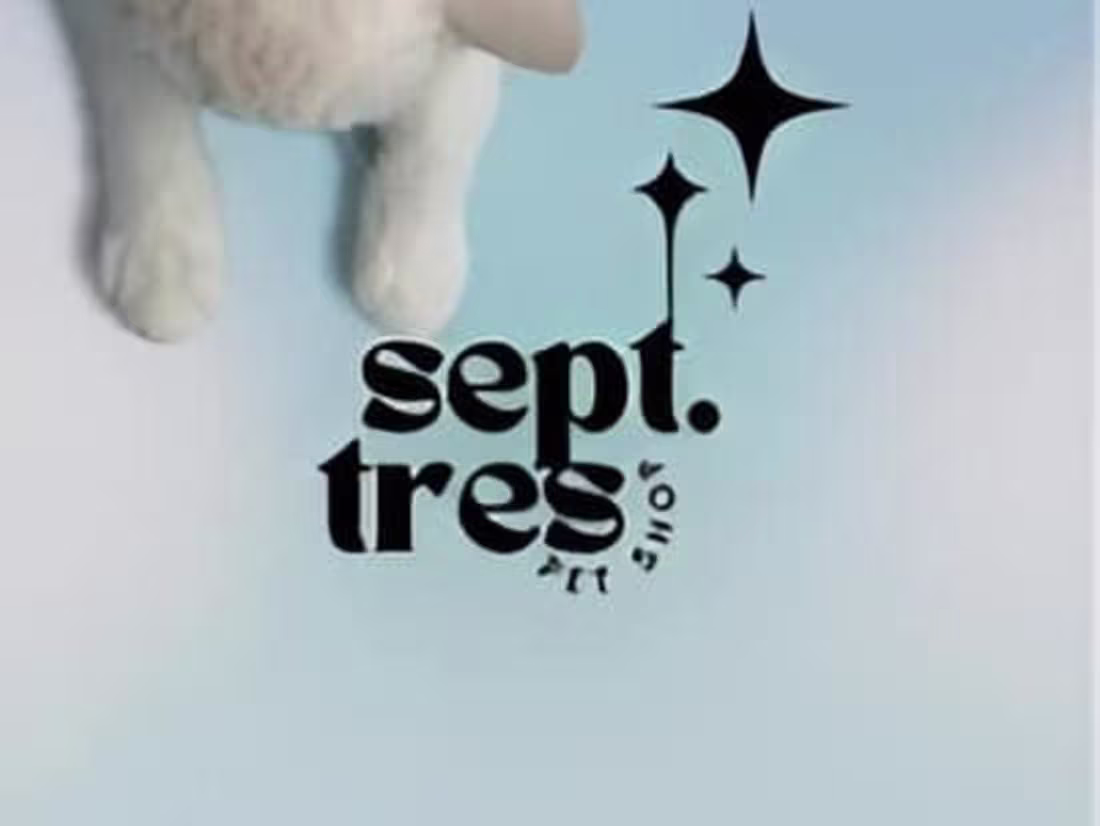 Cover image for Septiembre Tres Pet Shop| Coordinadora de Proyecto