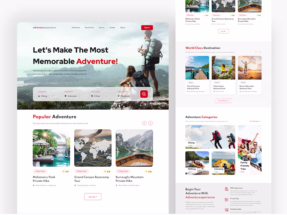 Cover image for Travel Agency Website Design
