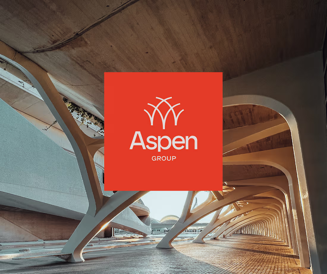 Cover image for Aspen Group